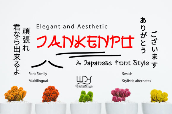 Jankenpo Font for Editorial Design