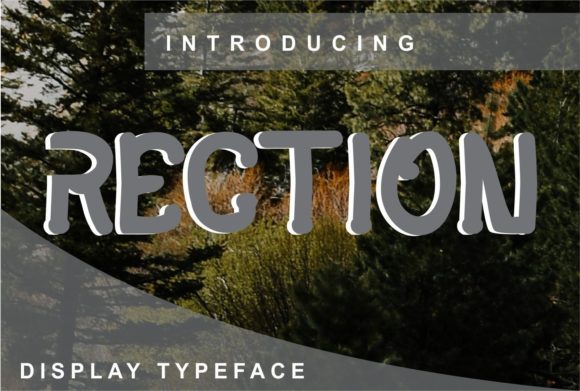 Rection Font for Creative Projects